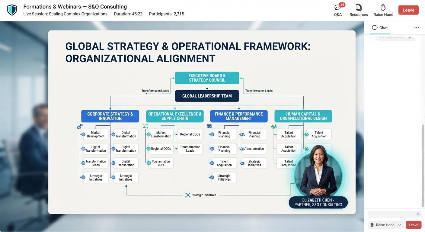 Capture d'écran d'un webinaire de conseil stratégique montrant un organigramme, avec l'intervenant en médaillon.