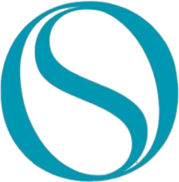 S&O Consulting Logo